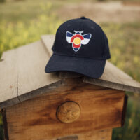 Colorado Bee Hat - YOUTH Size Navy Blue